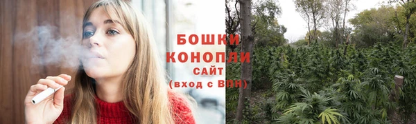 spice Бронницы