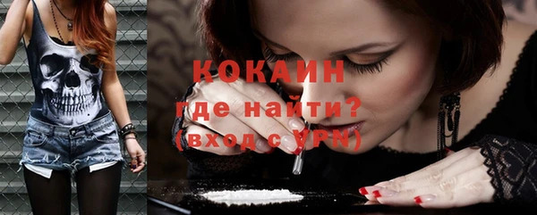 ПСИЛОЦИБИНОВЫЕ ГРИБЫ Верея