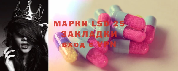 МДПВ Бородино
