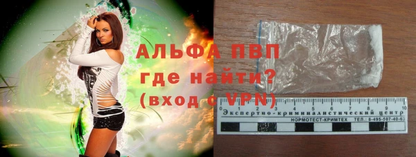 МДПВ Бородино